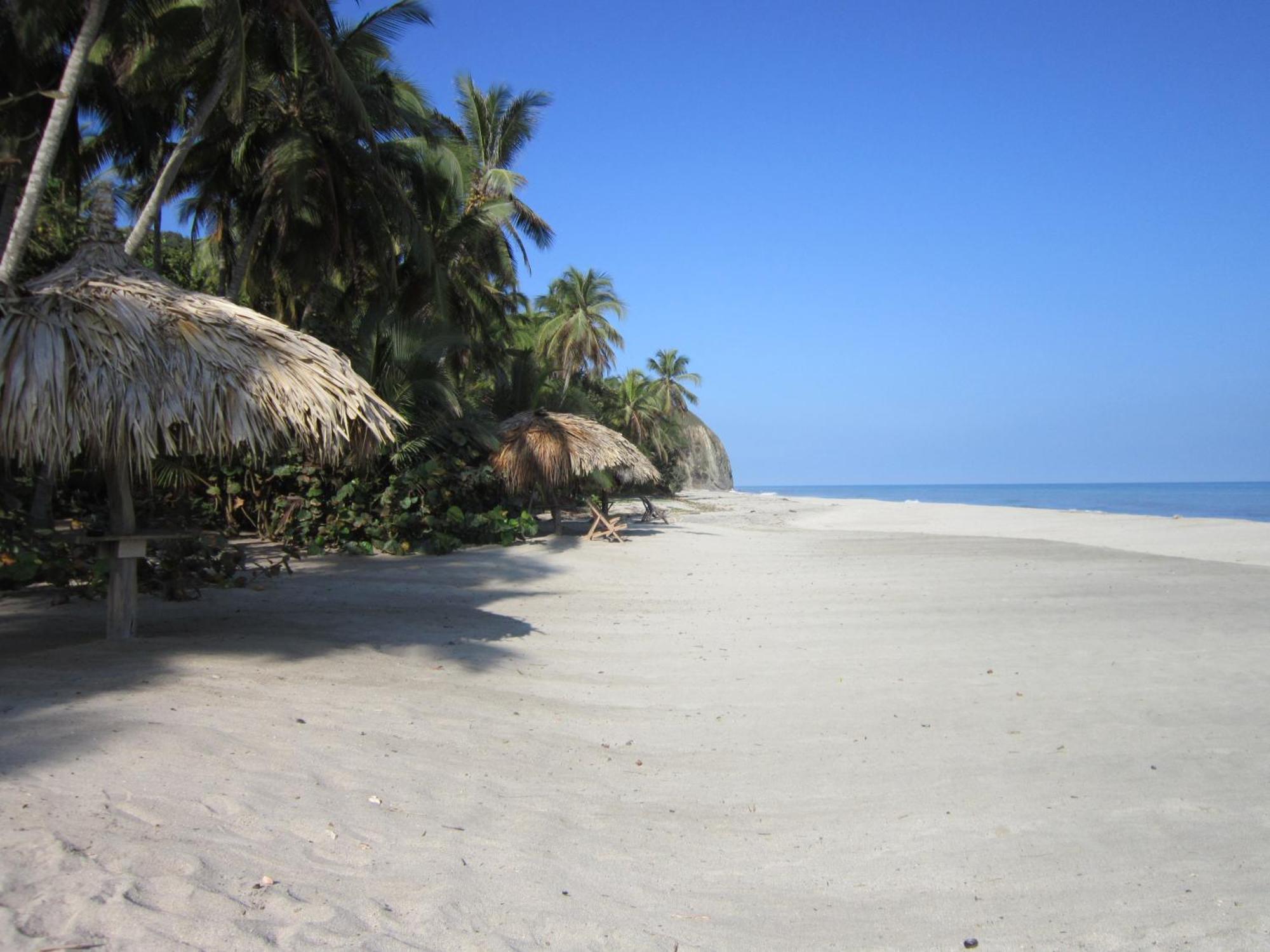 Playa la Roca Ecohotel Palomino Exterior foto