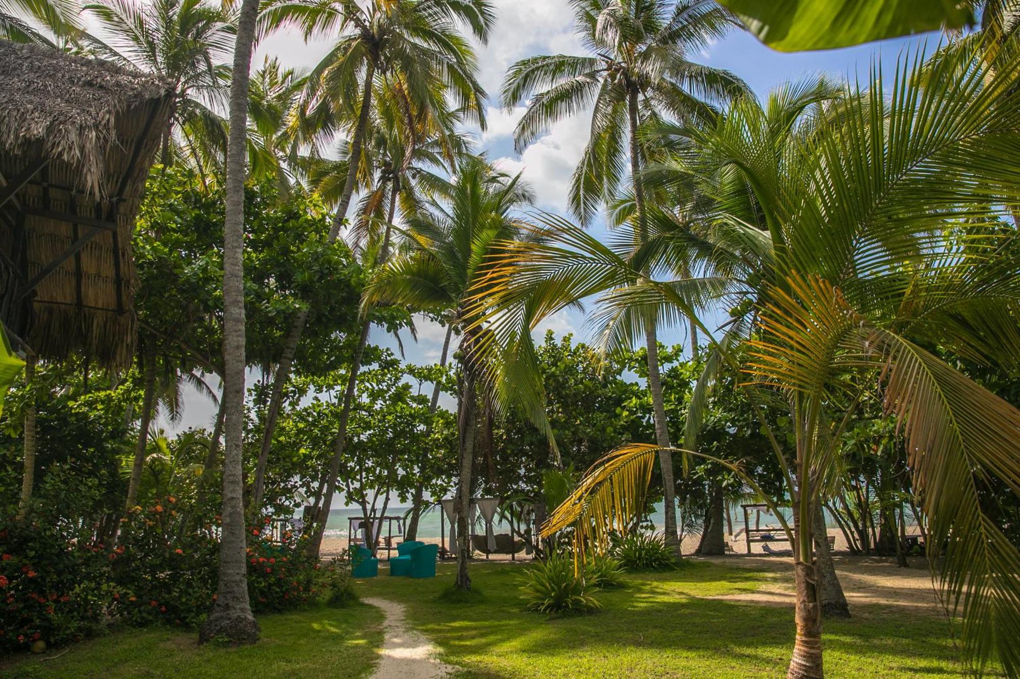 Playa la Roca Ecohotel Palomino Exterior foto