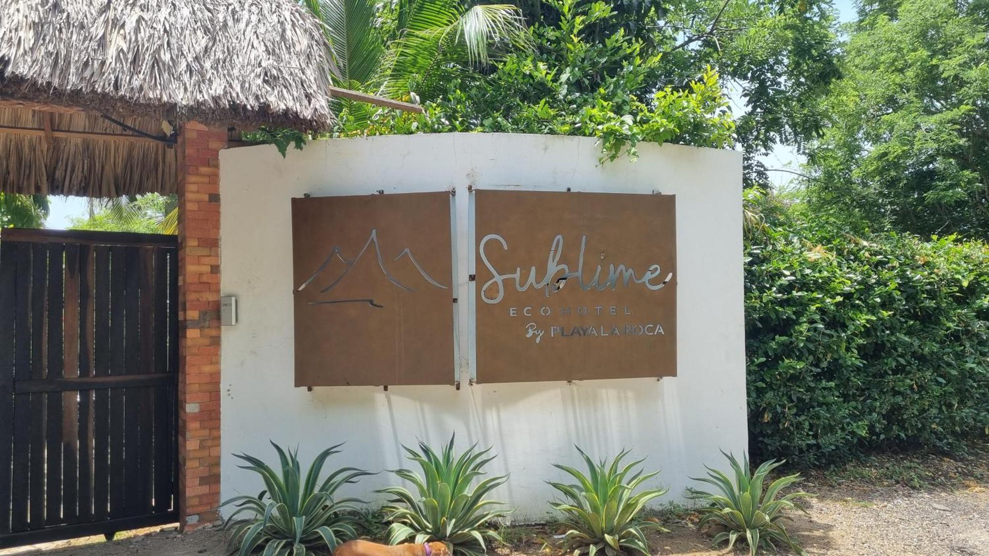 Playa la Roca Ecohotel Palomino Exterior foto
